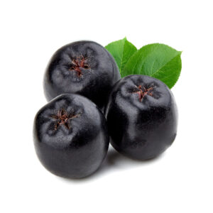 Aronia Powder