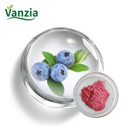 Blueberry Powder