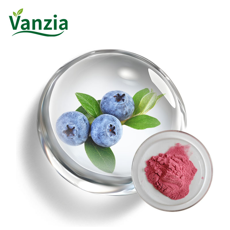 Blueberry Powder