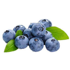 Blueberry Powder