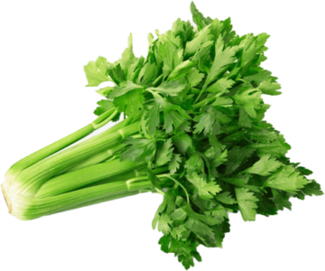 Celery Powder