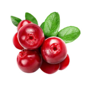 Cranberry Powder