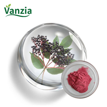 Elderberry Juice Powder