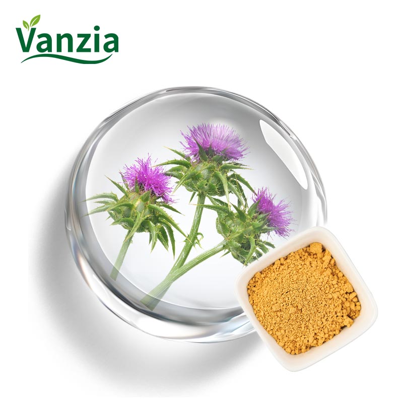 Milk Thistle Extract 80% Silymarin