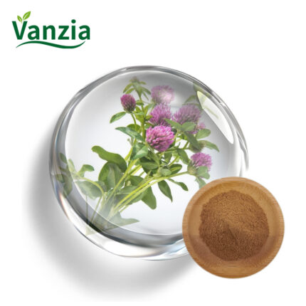 Red Clover Extract 8% isoflavones