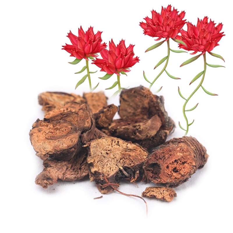 Rhodiola Rosea Extract