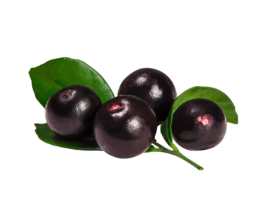Acaiberry Powder