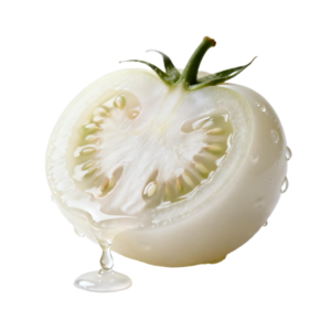 White Tomato Powder